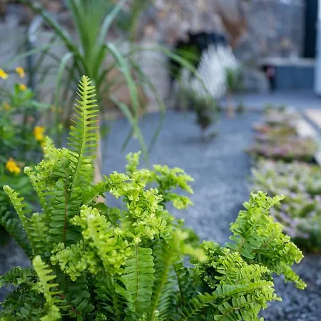 Majestic Seaview Villa