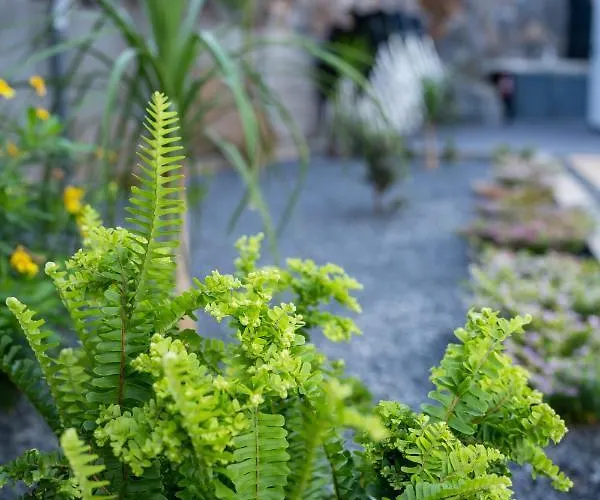 Majestic Seaview Villa